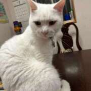 ヒメ日記 2025/07/17 20:41 投稿 はづき 大宮おかあさん