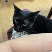 ヒメ日記 2025/07/20 20:01 投稿 はづき 大宮おかあさん