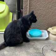 ヒメ日記 2025/08/01 14:02 投稿 はづき 大宮おかあさん