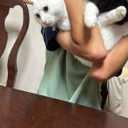 ヒメ日記 2025/08/21 19:06 投稿 はづき 大宮おかあさん