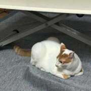 ヒメ日記 2025/09/15 05:46 投稿 はづき 大宮おかあさん