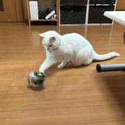 ヒメ日記 2025/10/05 07:26 投稿 はづき 大宮おかあさん