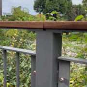 ヒメ日記 2025/10/12 10:18 投稿 はづき 大宮おかあさん