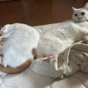 ヒメ日記 2025/10/17 17:26 投稿 はづき 大宮おかあさん