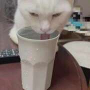 ヒメ日記 2025/12/28 15:57 投稿 はづき 大宮おかあさん