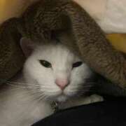 ヒメ日記 2026/01/23 00:16 投稿 はづき 大宮おかあさん