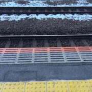 ヒメ日記 2026/02/09 07:56 投稿 はづき 大宮おかあさん