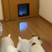 ヒメ日記 2026/04/30 22:19 投稿 はづき 大宮おかあさん