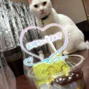 ヒメ日記 2025/07/21 22:31 投稿 はづき 西川口おかあさん