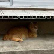 ヒメ日記 2025/08/03 13:21 投稿 はづき 西川口おかあさん