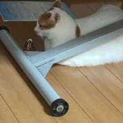 ヒメ日記 2025/08/10 06:56 投稿 はづき 西川口おかあさん