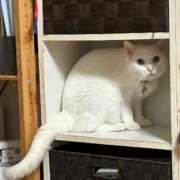 ヒメ日記 2025/08/11 21:56 投稿 はづき 西川口おかあさん