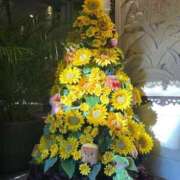 ヒメ日記 2025/08/17 17:26 投稿 はづき 西川口おかあさん