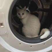 ヒメ日記 2025/09/17 16:46 投稿 はづき 西川口おかあさん