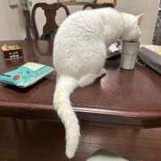 ヒメ日記 2025/09/24 15:46 投稿 はづき 西川口おかあさん