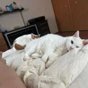 ヒメ日記 2025/10/03 08:16 投稿 はづき 西川口おかあさん