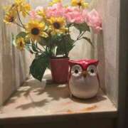 ヒメ日記 2025/11/01 17:06 投稿 はづき 西川口おかあさん