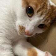 ヒメ日記 2026/02/08 07:19 投稿 はづき 西川口おかあさん