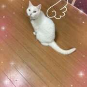 ヒメ日記 2025/07/16 07:58 投稿 はづき 川越おかあさん