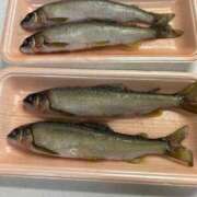 ヒメ日記 2025/07/28 23:08 投稿 はづき 川越おかあさん