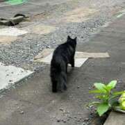 ヒメ日記 2025/08/01 18:18 投稿 はづき 川越おかあさん