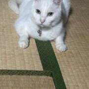 ヒメ日記 2025/08/15 06:18 投稿 はづき 川越おかあさん