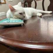 ヒメ日記 2025/08/16 14:38 投稿 はづき 川越おかあさん