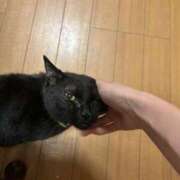 ヒメ日記 2025/09/16 22:58 投稿 はづき 川越おかあさん