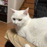 ヒメ日記 2025/09/17 05:28 投稿 はづき 川越おかあさん