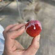 ヒメ日記 2025/09/17 17:18 投稿 はづき 川越おかあさん