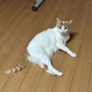 ヒメ日記 2025/09/18 07:38 投稿 はづき 川越おかあさん