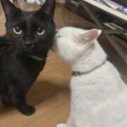 ヒメ日記 2025/11/02 09:18 投稿 はづき 川越おかあさん