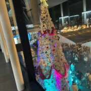 ヒメ日記 2025/12/18 15:48 投稿 はづき 川越おかあさん