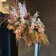 ヒメ日記 2025/12/31 14:42 投稿 はづき 川越おかあさん