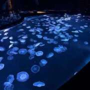 ヒメ日記 2025/08/23 13:21 投稿 このは 船橋ときめき女学園