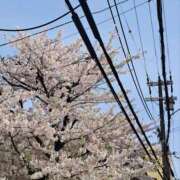 みるく 見覚えのある スポコスkunkakunka