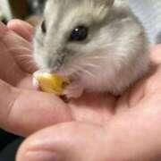 ヒメ日記 2025/09/03 18:57 投稿 あしむ 妻天 梅田店