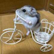 ヒメ日記 2025/11/30 07:47 投稿 あしむ 妻天 梅田店