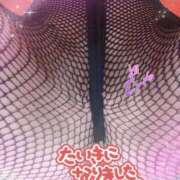 鳳凰　みそら 出勤ちてます🍀*゜ OL精薬