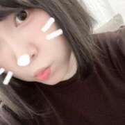 ヒメ日記 2025/08/21 12:16 投稿 ねる 恋のうた