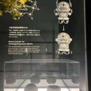 ヒメ日記 2025/10/07 23:23 投稿 ねる 恋のうた