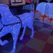 ヒメ日記 2025/11/28 10:20 投稿 きき 熟女の風俗最終章 新潟店