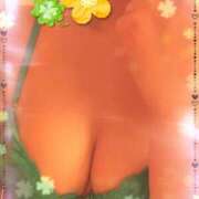 ヒメ日記 2026/06/26 04:32 投稿 舞子(まいこ) 人妻最後の砦 水戸店