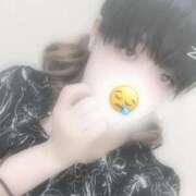 ヒメ日記 2025/09/03 12:04 投稿 とうか 新宿本店 ぽちゃカワ女子専門店