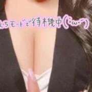 ヒメ日記 2025/11/15 09:39 投稿 せんり BiBi