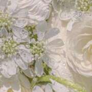 ヒメ日記 2025/09/16 23:04 投稿 未経験れん 清楚系美女専門店PLATINUMプラチナム四日市店