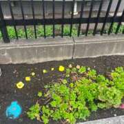 ヒメ日記 2025/09/11 21:54 投稿 のの ヌクトコ池袋店