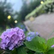 ヒメ日記 2025/10/25 10:03 投稿 のの ヌクトコ池袋店