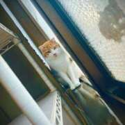 ヒメ日記 2026/02/13 23:15 投稿 のの ヌクトコ池袋店