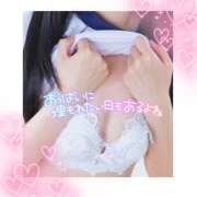 ヒメ日記 2025/08/08 19:19 投稿 あろま ピンキーエコ